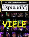 Splendid VIELE